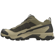 Scarpe da trekking da uomo Salomon X Ultra 5 Gore-Tex