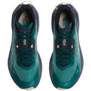 Scarpe da corsa da uomo The North Face M Altamesa 300 V2