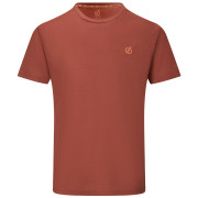 Maglietta da uomo Dare 2b Agile Short Sleeved Tee marrone ArabianSpice