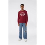 Felpa da bambino Champion Crewneck Sweatshirt B GMS