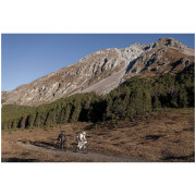 Borsa per il telaio Cyclite Frame Bag Small / 02