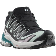 Scarpe da trekking da uomo Salomon Xa Pro 3D V9 Gore-Tex