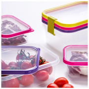 Scatola per alimenti Omada Sanaliving Box Set 3x 24x16,5x8cm/2L