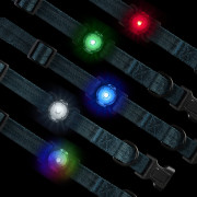 Luce per cani Nite Ize NiteDog™ Rechargeable Pet Light