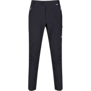 Pantaloni da uomo Regatta Highton Trs grigio Magnet