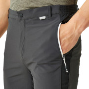 Pantaloncini da uomo Regatta Mountain ShortsII M