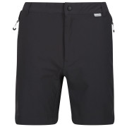 Pantaloncini da uomo Regatta Mountain ShortsII M grigio/nero Ash/Black