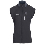 Gilet da donna Direct Alpine Spike Lady grigio anthracite/grey