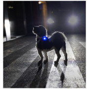 Luce per cani Curli Luumi Safety LED Lights rechargeable