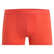 Boxer da uomo Icebreaker M Anatomica Cool-Lite Trunks mattone Vibrant Earth