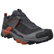 Scarpe da trekking da uomo Salomon X Ultra 5 Gore-Tex