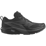 Scarpe da corsa da donna Salomon Sense Ride 5 Gore-Tex