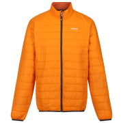 Giacca da uomo Regatta Hillpack arancione Orange Pepper(Burnt Copper)