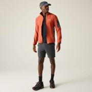 Pantaloncini da uomo Regatta Anti-Insect Travel Light Shorts