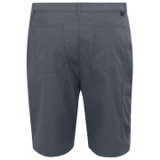 Pantaloncini da uomo Regatta Dalry Short