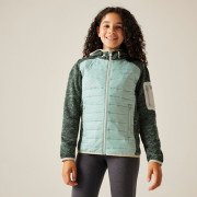 Giacca da bambino Regatta Junior Newhill Hybrid