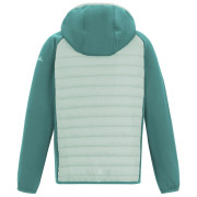 Giacca da bambino Regatta Junior Andreson Hybrid IvyMossOMist