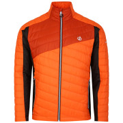 Giacca da uomo Dare 2b Descending Jacket arancione Puffins Orange/Rooibos Tea