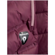 Giacca ibrida da donna 4F Down Jacket F0895