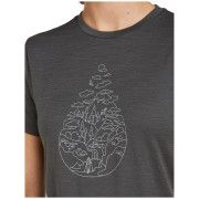 Maglietta da donna Icebreaker Women Merino 150 Tech Lite SS Tee Hike Path