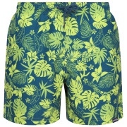 Pantaloncini da uomo Regatta Loras Swim Short m