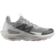 Scarpe da donna Salomon Elixir Activ W grigio Sharkskin / Glacier Gray / Orchid Petal
