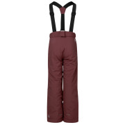 Pantaloni invernali per bambini Dare 2b Outmove III Insulated Pant Huckleberry