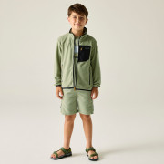 Felpa da bambino Regatta Junior Frankie F/Z Light Sage