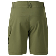 Pantaloncini per bambini Dare 2b Reprise III Short Nephite Green