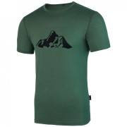 Maglietta da uomo Warg Merino Mountain 165 Short Comfy verde Green