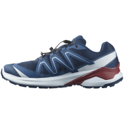 Scarpe da corsa da uomo Salomon Examotion