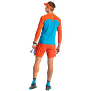 Maglietta da uomo Dynafit Alpine Pro M L/S Tee