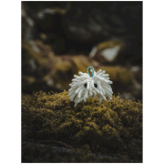 Sacchetto porta magnesite Midnight Lightning Chalktopus