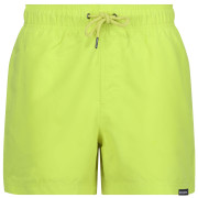 Pantaloncini da uomo Regatta Mawson SwShortIII giallo Citron Lime