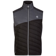 Gilet da uomo Dare 2b Touring Gilet grigio/nero Ebony/Black