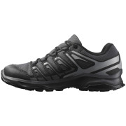 Scarpe da trekking da uomo Salomon Extegra Gore-Tex