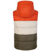 Gilet per bambini Dare 2b Jolly Gilet