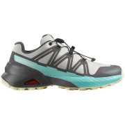 Scarpe da donna Salomon Speedcross Peak grigio/blu Icicle / Castlerock / Aruba Blue