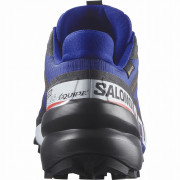 Scarpe da uomo Salomon Speedcross 6 Gore-Tex Equipe