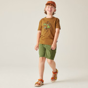 Pantaloncini per bambini Dare 2b Reprise III Short Nephite Green