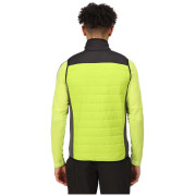 Gilet da uomo Regatta Halton BW VI