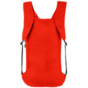 Zaino Salewa Ultralight 22L