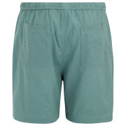 Pantaloncini da uomo Regatta Hadlin Shorts