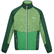 Felpa da uomo Regatta Coladane V verde Jasmine Green/Field Green