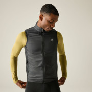 Gilet da uomo Dare 2b Chase Gilet