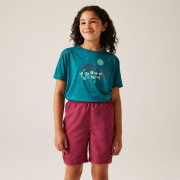 Maglietta da bambino Regatta Alvarado IX