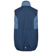 Gilet da uomo Regatta Lankin V