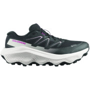 Scarpe da corsa da donna Salomon Ultra Flow 2 Gore-Tex