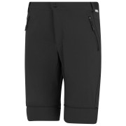 Pantaloni da uomo Regatta Mountain Z/O Trousers