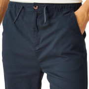 Pantaloncini da uomo Regatta Aldan Short